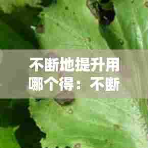 不断地提升用哪个得：不断地提高还是不断的提高 