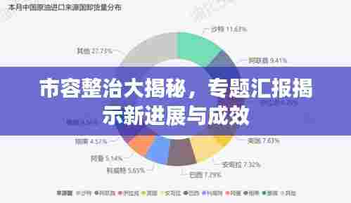 市容整治大揭秘,专题汇报揭示新进展与成效