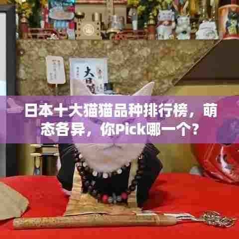 日本十大猫猫品种排行榜,萌态各异,你Pick哪一个?