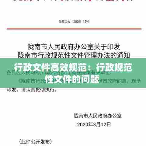 行政文件高效规范:行政规范性文件的问题