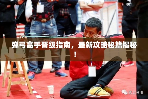 弹弓高手晋级指南，最新攻略秘籍揭秘！