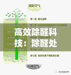 高效除醛科技：除醛处理是什么原理 