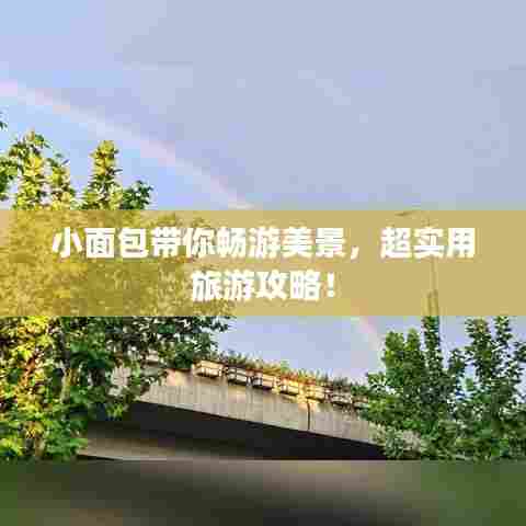 小面包带你畅游美景,超实用旅游攻略!