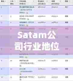 Satam公司行业地位卓越,排名揭晓!