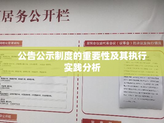 公告公示制度的重要性及其执行实践分析