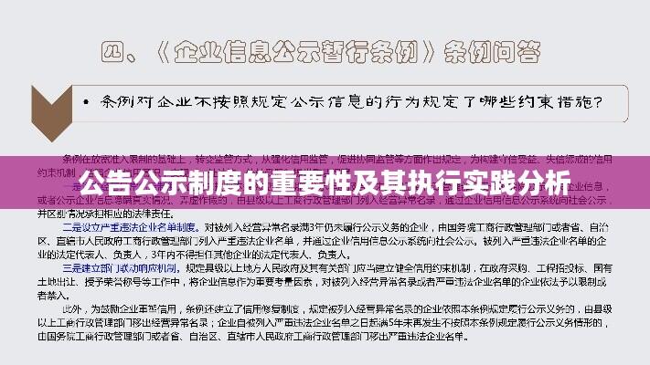 公告公示制度的重要性及其执行实践分析