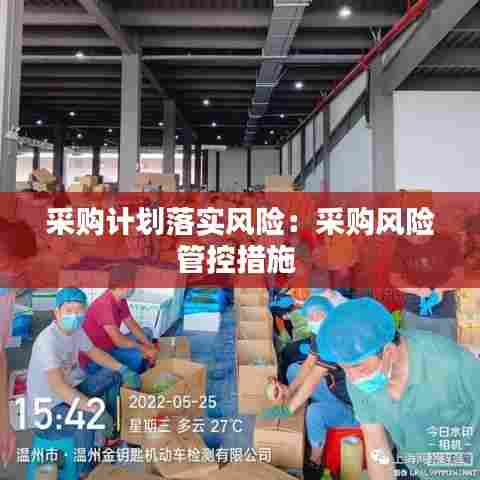 采购计划落实风险:采购风险管控措施