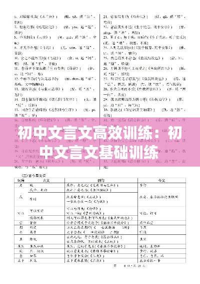 初中文言文高效训练：初中文言文基础训练 