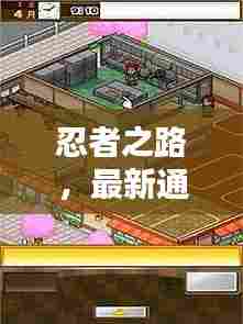 忍者之路，最新通关攻略大揭秘！