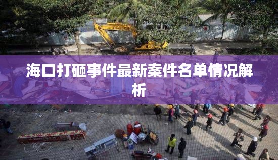海口打砸事件最新案件名单情况解析