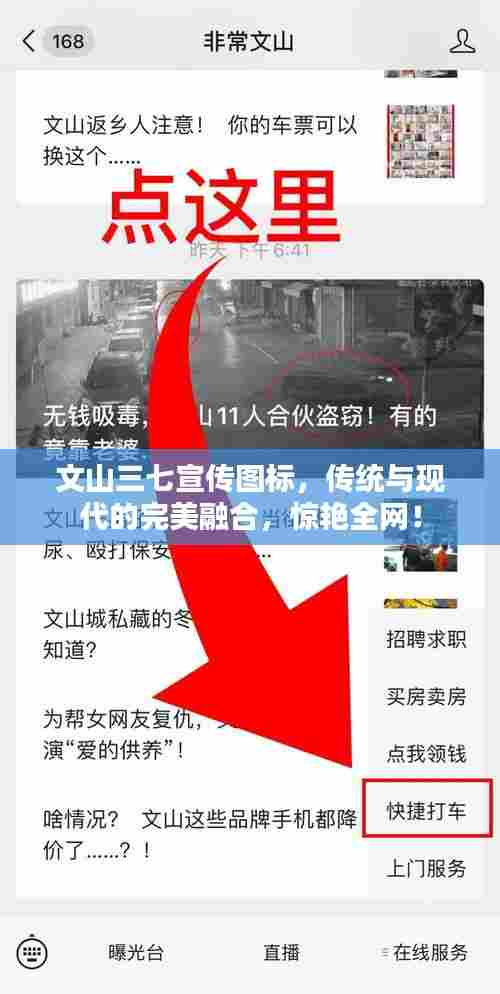 文山三七宣传图标，传统与现代的完美融合，惊艳全网！