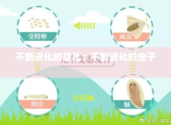 不断进化的婴儿：不断进化的虫子 