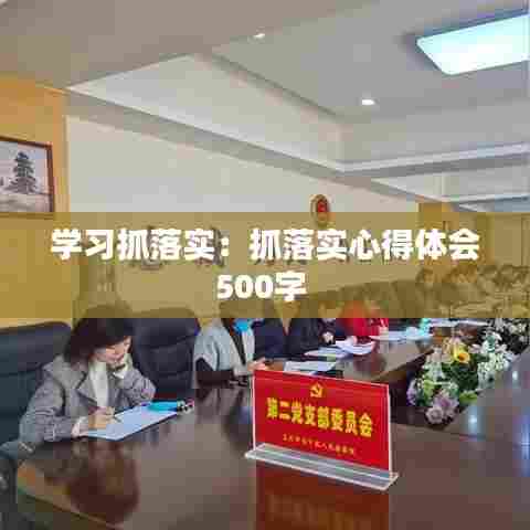 学习抓落实：抓落实心得体会500字 