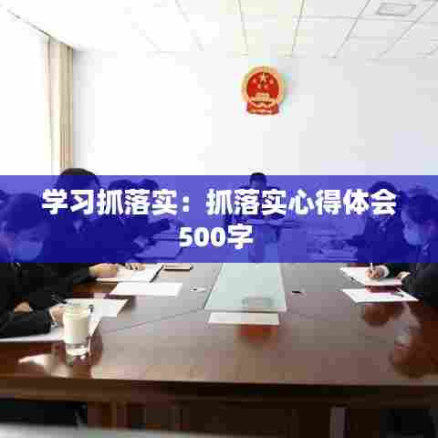 学习抓落实:抓落实心得体会500字
