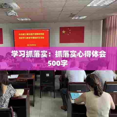 学习抓落实:抓落实心得体会500字