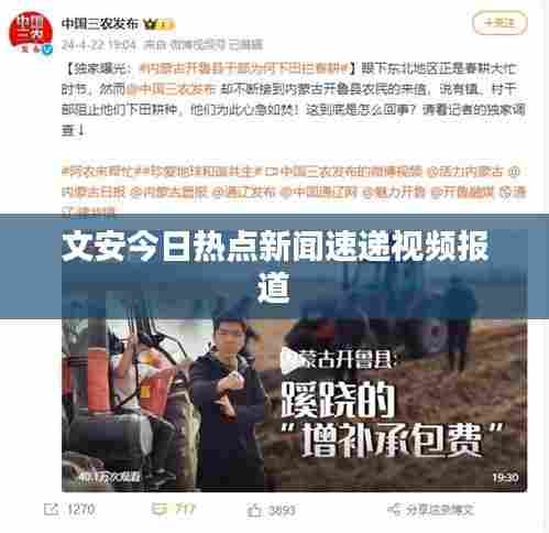 文安今日热点新闻速递视频报道