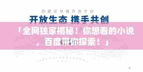 「全网独家揭秘!你想看的小说,百度带你探索!」