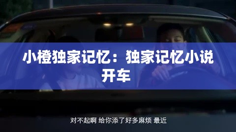 小橙独家记忆:独家记忆小说开车