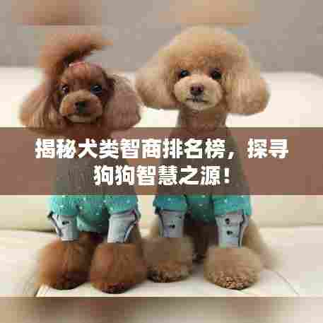 坎井之蛙 第6页