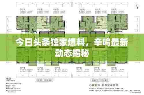 今日头条独家爆料，辛鸣最新动态揭秘