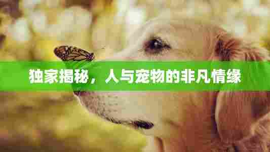 独家揭秘,人与宠物的非凡情缘