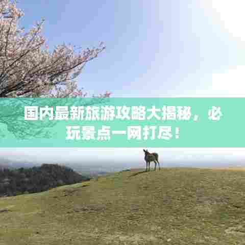 国内最新旅游攻略大揭秘，必玩景点一网打尽！