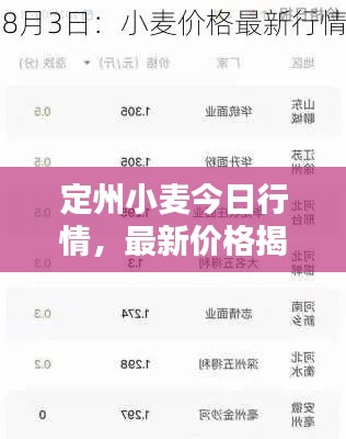定州小麦今日行情，最新价格揭秘！