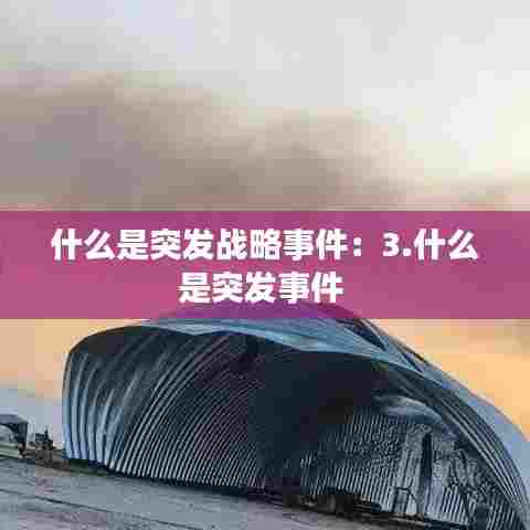 什么是突发战略事件:3.什么是突发事件