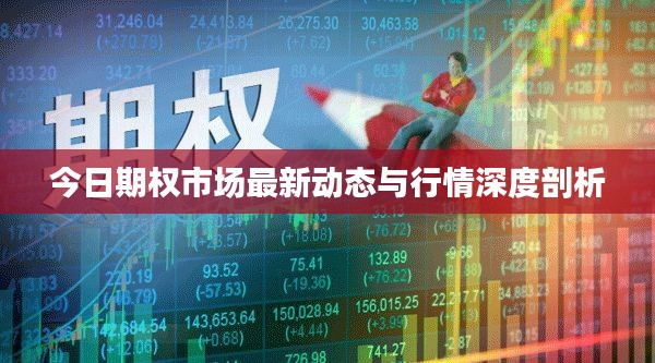 今日期权市场最新动态与行情深度剖析