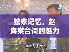 独家记忆,赵海棠台词的魅力与风采展现