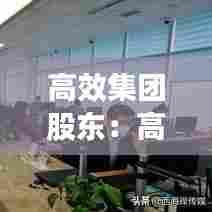 高效集团股东:高效有限公司