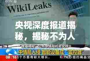 央视深度报道揭秘，揭秘不为人知的真相