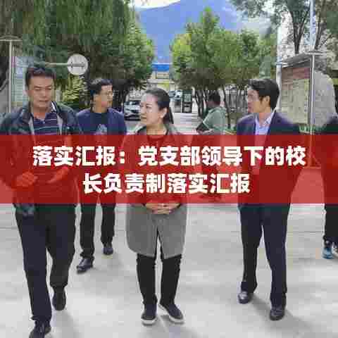 落实汇报:党支部领导下的校长负责制落实汇报