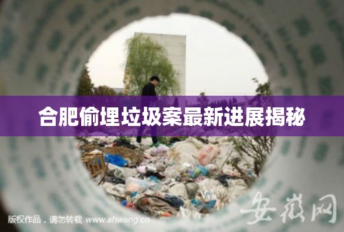 合肥偷埋垃圾案最新进展揭秘
