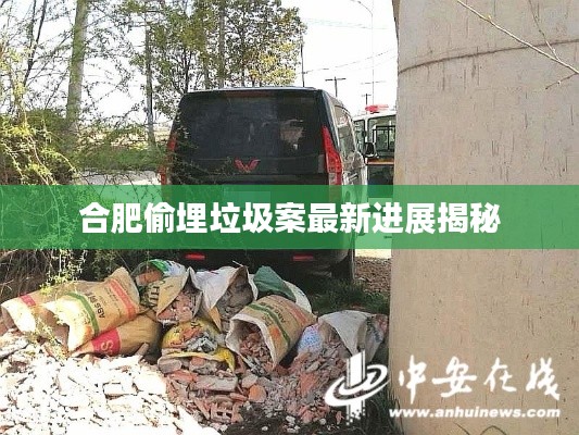 合肥偷埋垃圾案最新进展揭秘