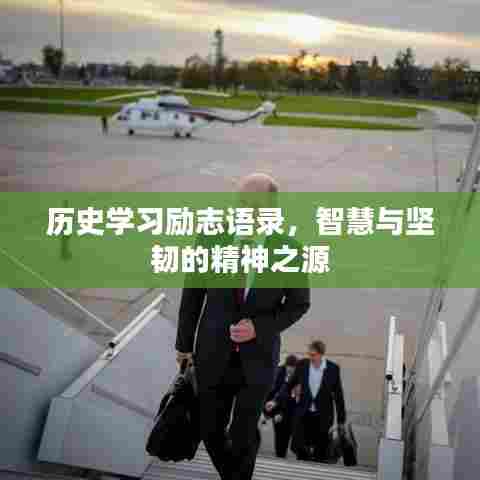 历史学习励志语录，智慧与坚韧的精神之源
