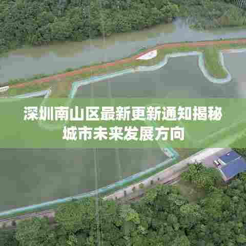 深圳南山区最新更新通知揭秘城市未来发展方向