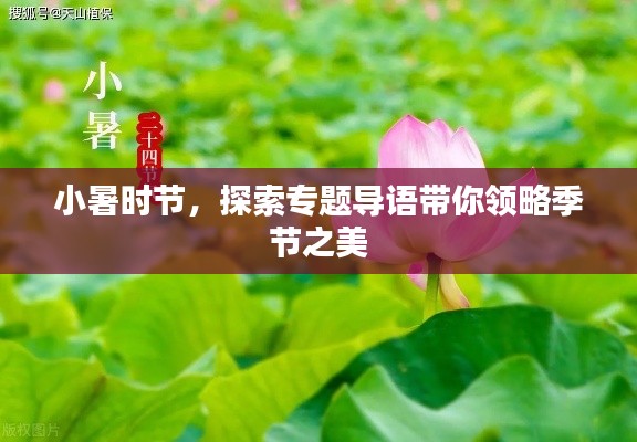 小暑时节，探索专题导语带你领略季节之美