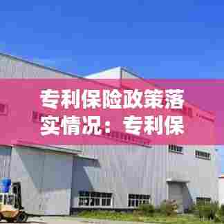 专利保险政策落实情况:专利保险的政府补贴