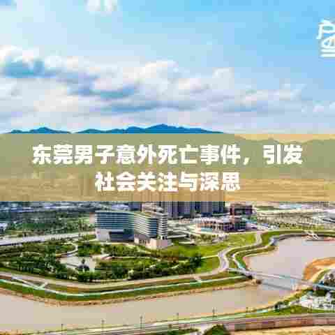 东莞男子意外死亡事件，引发社会关注与深思