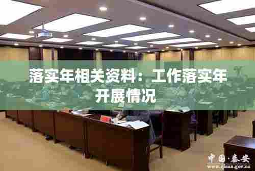 落实年相关资料：工作落实年开展情况 