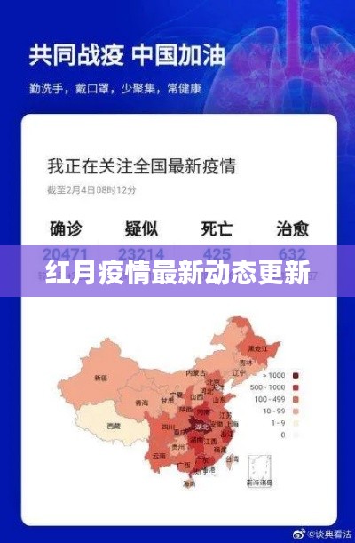红月疫情最新动态更新