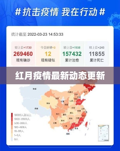 红月疫情最新动态更新