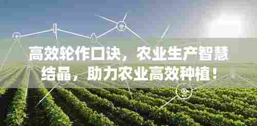 高效轮作口诀，农业生产智慧结晶，助力农业高效种植！