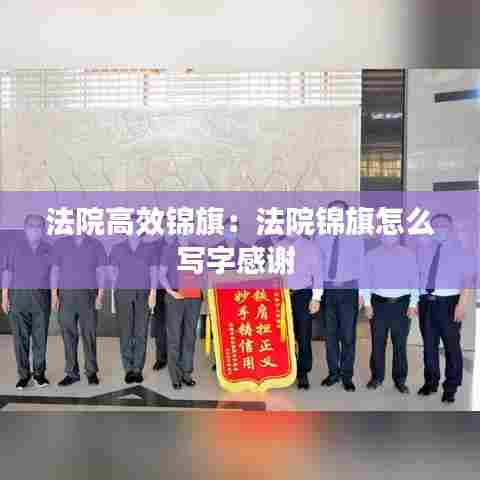 法院高效锦旗：法院锦旗怎么写字感谢 