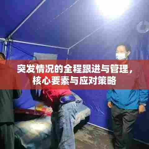 突发情况的全程跟进与管理,核心要素与应对策略