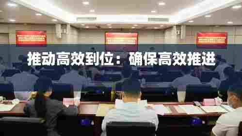 推动高效到位:确保高效推进