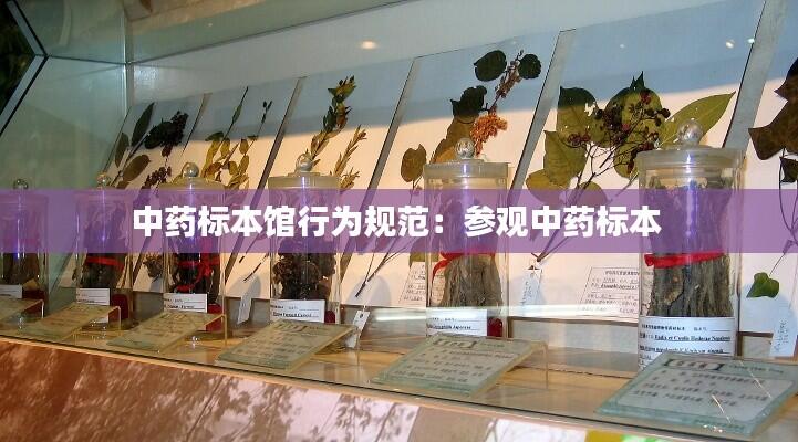 中药标本馆行为规范:参观中药标本