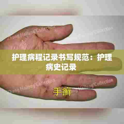 护理病程记录书写规范:护理病史记录