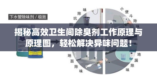 揭秘高效卫生间除臭剂工作原理与原理图,轻松解决异味问题!